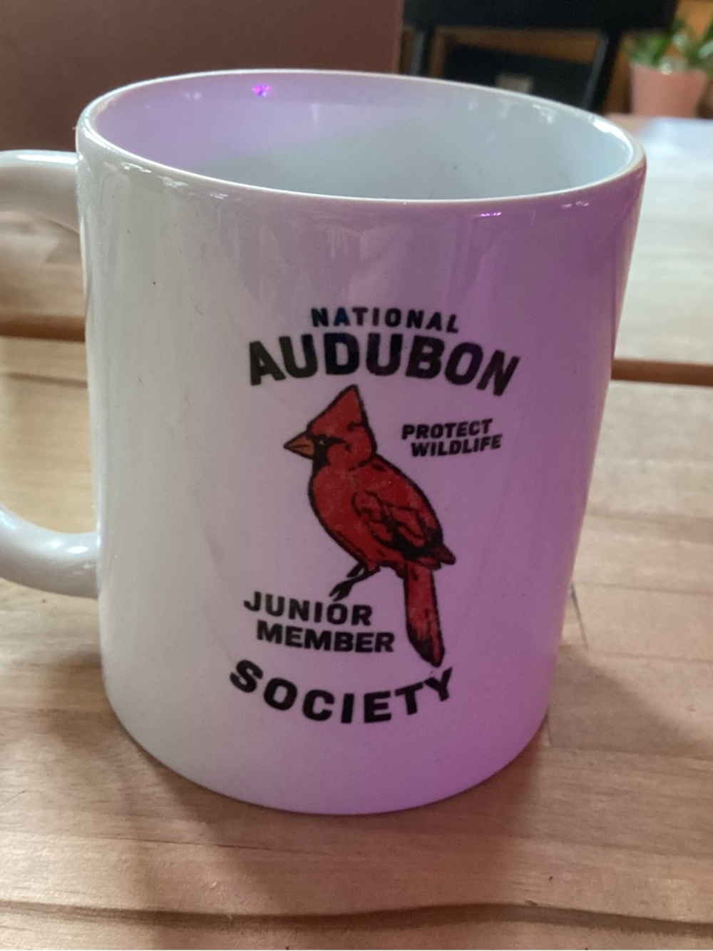 Set of 2 National Audubon Society White Mugs